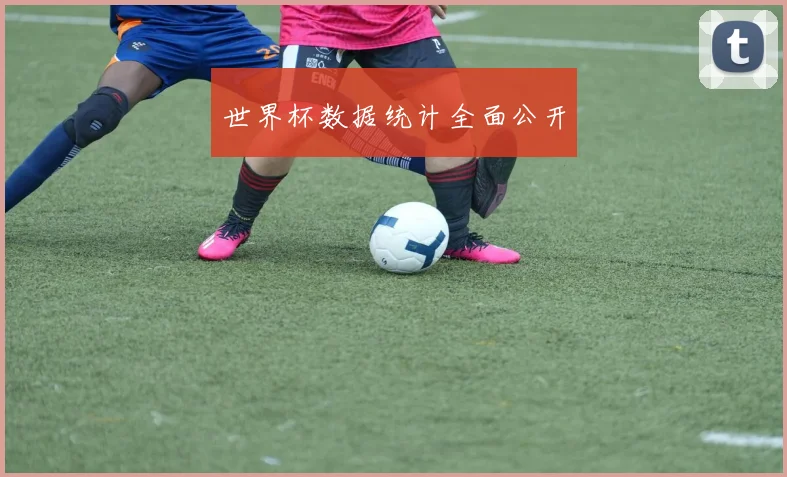 世界杯数据统计全面公开