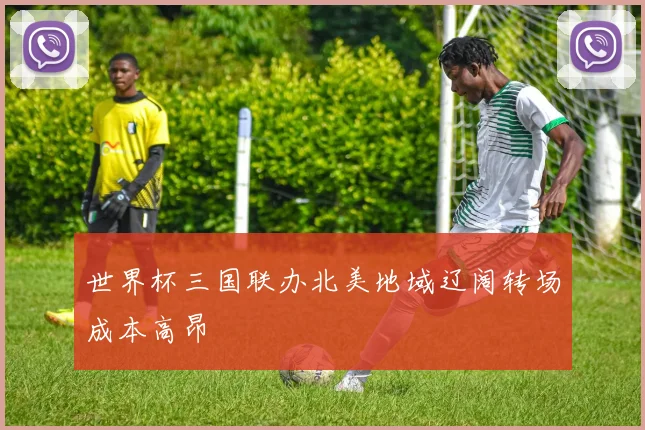 世界杯三国联办北美地域辽阔转场成本高昂